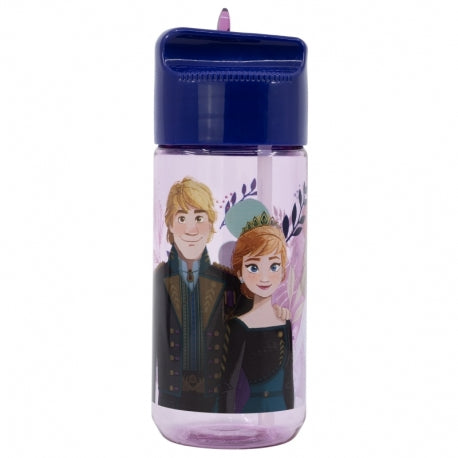 Kinder Trinkflasche Comic Frozen