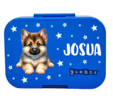 Znünibox Yumbox Panino Surf Blue Dinosaurier